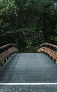 Preview wallpaper bridge, trees, forest, park