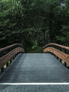 Preview wallpaper bridge, trees, forest, park