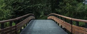 Preview wallpaper bridge, trees, forest, park