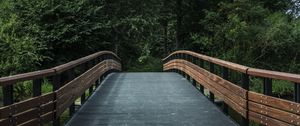 Preview wallpaper bridge, trees, forest, park