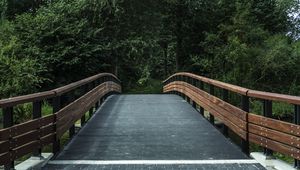 Preview wallpaper bridge, trees, forest, park