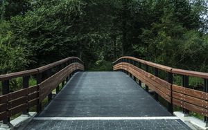 Preview wallpaper bridge, trees, forest, park