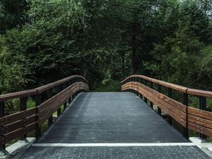 Preview wallpaper bridge, trees, forest, park