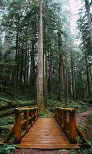 Preview wallpaper bridge, trees, forest, path, wooden