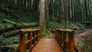 Preview wallpaper bridge, trees, forest, path, wooden