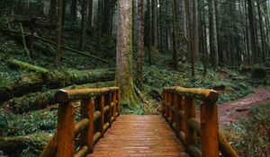 Preview wallpaper bridge, trees, forest, path, wooden
