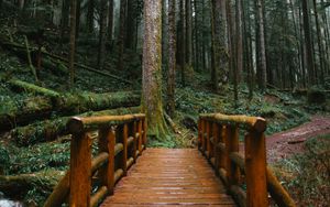 Preview wallpaper bridge, trees, forest, path, wooden