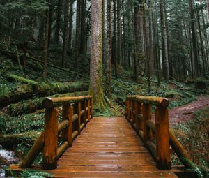 Preview wallpaper bridge, trees, forest, path, wooden