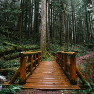 Preview wallpaper bridge, trees, forest, path, wooden