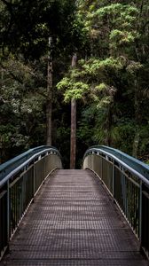 Preview wallpaper bridge, trees, forest, perspective