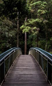 Preview wallpaper bridge, trees, forest, perspective