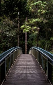 Preview wallpaper bridge, trees, forest, perspective