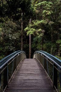 Preview wallpaper bridge, trees, forest, perspective