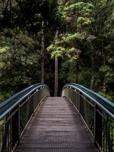 Preview wallpaper bridge, trees, forest, perspective