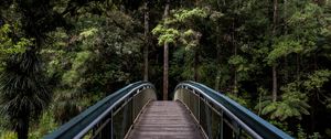 Preview wallpaper bridge, trees, forest, perspective