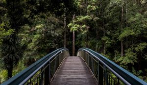 Preview wallpaper bridge, trees, forest, perspective