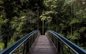 Preview wallpaper bridge, trees, forest, perspective