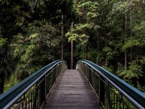 Preview wallpaper bridge, trees, forest, perspective