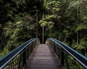 Preview wallpaper bridge, trees, forest, perspective