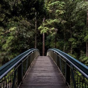 Preview wallpaper bridge, trees, forest, perspective