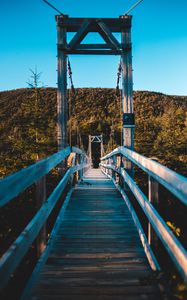 Preview wallpaper bridge, trees, forest, perspective, hill