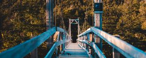 Preview wallpaper bridge, trees, forest, perspective, hill