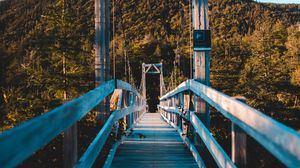 Preview wallpaper bridge, trees, forest, perspective, hill