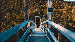 Preview wallpaper bridge, trees, forest, perspective, hill