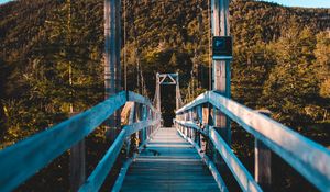 Preview wallpaper bridge, trees, forest, perspective, hill