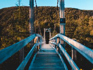 Preview wallpaper bridge, trees, forest, perspective, hill