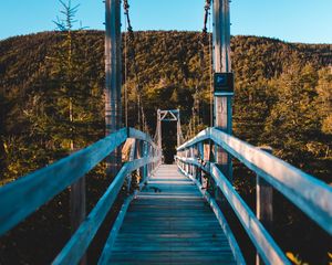 Preview wallpaper bridge, trees, forest, perspective, hill