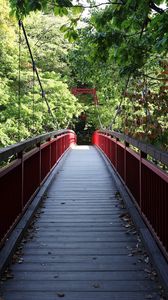 Preview wallpaper bridge, trees, forest, nature, greenery