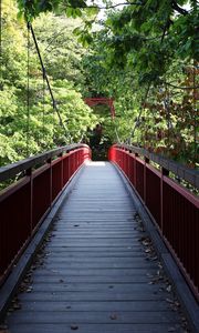 Preview wallpaper bridge, trees, forest, nature, greenery