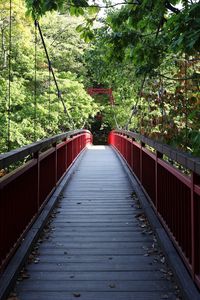 Preview wallpaper bridge, trees, forest, nature, greenery