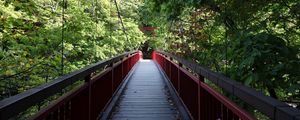 Preview wallpaper bridge, trees, forest, nature, greenery