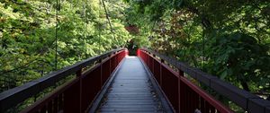 Preview wallpaper bridge, trees, forest, nature, greenery