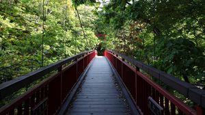 Preview wallpaper bridge, trees, forest, nature, greenery