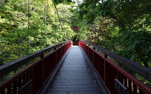 Preview wallpaper bridge, trees, forest, nature, greenery