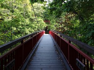 Preview wallpaper bridge, trees, forest, nature, greenery