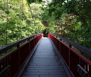 Preview wallpaper bridge, trees, forest, nature, greenery