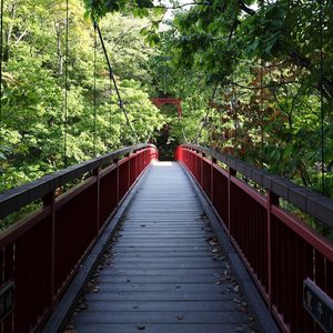 Preview wallpaper bridge, trees, forest, nature, greenery