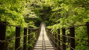 Preview wallpaper bridge, trees, forest, nature, green