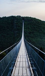 Preview wallpaper bridge, trees, hanging