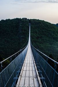 Preview wallpaper bridge, trees, hanging