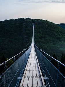 Preview wallpaper bridge, trees, hanging