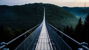 Preview wallpaper bridge, trees, hanging