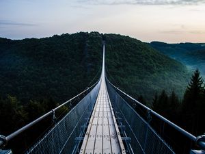 Preview wallpaper bridge, trees, hanging