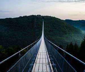 Preview wallpaper bridge, trees, hanging