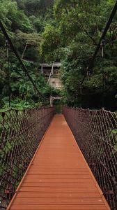 Preview wallpaper bridge, trees, hanging, weaving