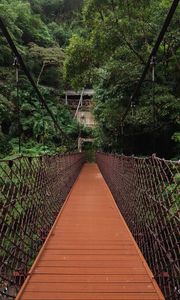 Preview wallpaper bridge, trees, hanging, weaving